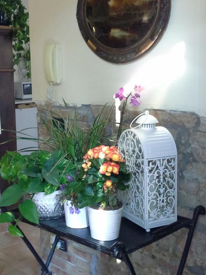 B&B Happiness In The Country Brescello Exterior foto